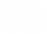 Dzikie Wiosło